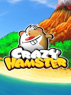 CRAZY HAMSTER 240X320 TOUCH HIGH.jar